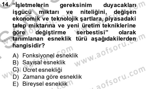 İstihdam ve İşsizlik Dersi 2014 - 2015 Yılı (Final) Dönem Sonu Sınavı 14. Soru