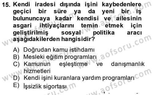 İstihdam ve İşsizlik Dersi 2014 - 2015 Yılı (Final) Dönem Sonu Sınavı 15. Soru