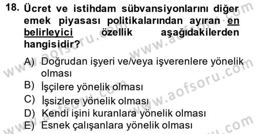İstihdam ve İşsizlik Dersi 2014 - 2015 Yılı (Final) Dönem Sonu Sınavı 18. Soru