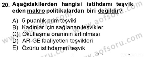 İstihdam ve İşsizlik Dersi 2014 - 2015 Yılı (Final) Dönem Sonu Sınavı 20. Soru