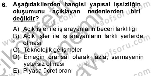 İstihdam ve İşsizlik Dersi 2014 - 2015 Yılı (Final) Dönem Sonu Sınavı 6. Soru