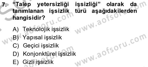 İstihdam ve İşsizlik Dersi 2014 - 2015 Yılı (Final) Dönem Sonu Sınavı 7. Soru