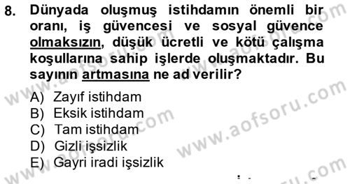 İstihdam ve İşsizlik Dersi 2014 - 2015 Yılı (Final) Dönem Sonu Sınavı 8. Soru