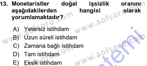 İstihdam ve İşsizlik Dersi 2015 - 2016 Yılı (Vize) Ara Sınav Soruları 13. Soru