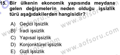 İstihdam ve İşsizlik Dersi 2015 - 2016 Yılı (Vize) Ara Sınav Soruları 15. Soru