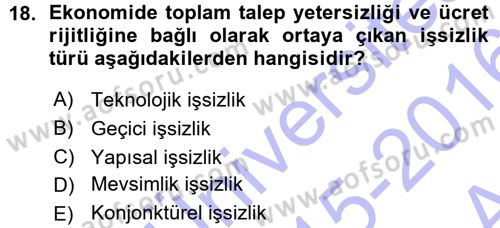 İstihdam ve İşsizlik Dersi 2015 - 2016 Yılı (Vize) Ara Sınav Soruları 18. Soru