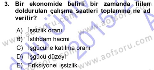 İstihdam ve İşsizlik Dersi 2015 - 2016 Yılı (Vize) Ara Sınav Soruları 3. Soru