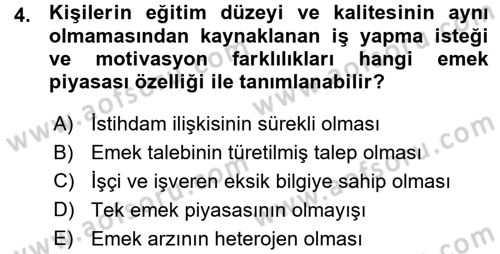 İstihdam ve İşsizlik Dersi 2015 - 2016 Yılı (Vize) Ara Sınav Soruları 4. Soru