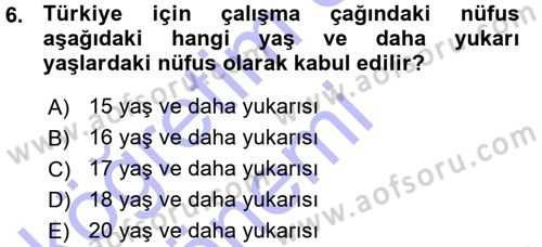 İstihdam ve İşsizlik Dersi 2015 - 2016 Yılı (Vize) Ara Sınav Soruları 6. Soru