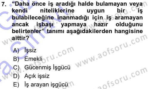 İstihdam ve İşsizlik Dersi 2015 - 2016 Yılı (Vize) Ara Sınav Soruları 7. Soru