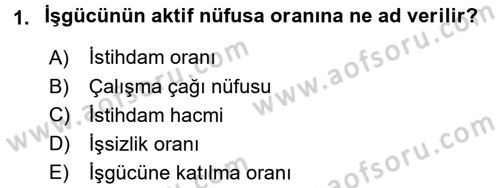 İstihdam ve İşsizlik Dersi 2015 - 2016 Yılı (Final) Dönem Sonu Sınav Soruları 1. Soru