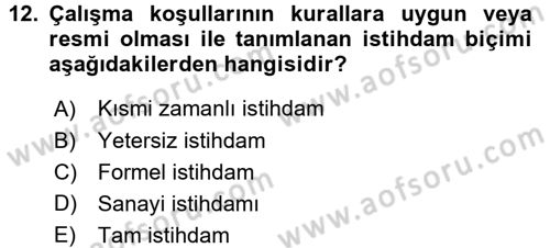 İstihdam ve İşsizlik Dersi 2015 - 2016 Yılı (Final) Dönem Sonu Sınav Soruları 12. Soru