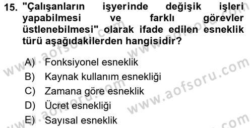İstihdam ve İşsizlik Dersi 2015 - 2016 Yılı (Final) Dönem Sonu Sınav Soruları 15. Soru