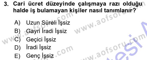 İstihdam ve İşsizlik Dersi 2015 - 2016 Yılı (Final) Dönem Sonu Sınav Soruları 3. Soru