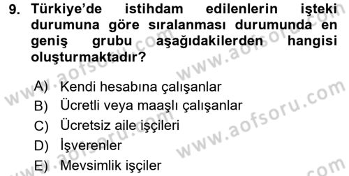 İstihdam ve İşsizlik Dersi 2015 - 2016 Yılı (Final) Dönem Sonu Sınav Soruları 9. Soru
