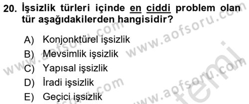 İstihdam ve İşsizlik Dersi 2016 - 2017 Yılı (Vize) Ara Sınavı 20. Soru