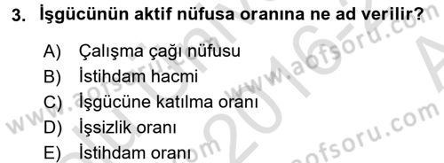 İstihdam ve İşsizlik Dersi 2016 - 2017 Yılı (Vize) Ara Sınavı 3. Soru