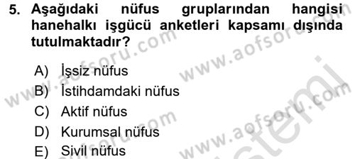 İstihdam ve İşsizlik Dersi 2016 - 2017 Yılı (Vize) Ara Sınav Soruları 5. Soru
