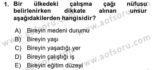 İstihdam ve İşsizlik Dersi 2016 - 2017 Yılı (Final) Dönem Sonu Sınav Soruları 1. Soru