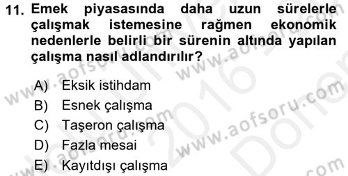 İstihdam ve İşsizlik Dersi 2016 - 2017 Yılı (Final) Dönem Sonu Sınav Soruları 11. Soru