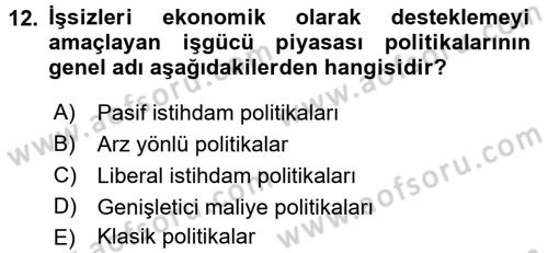 İstihdam ve İşsizlik Dersi 2016 - 2017 Yılı (Final) Dönem Sonu Sınav Soruları 12. Soru