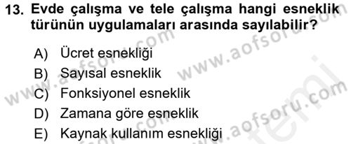 İstihdam ve İşsizlik Dersi 2016 - 2017 Yılı (Final) Dönem Sonu Sınav Soruları 13. Soru