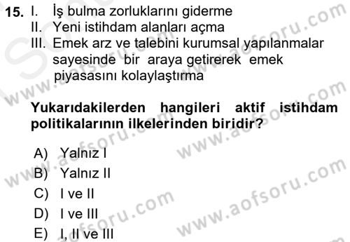 İstihdam ve İşsizlik Dersi 2016 - 2017 Yılı (Final) Dönem Sonu Sınav Soruları 15. Soru