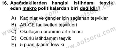 İstihdam ve İşsizlik Dersi 2016 - 2017 Yılı (Final) Dönem Sonu Sınav Soruları 16. Soru
