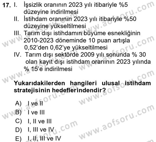 İstihdam ve İşsizlik Dersi 2016 - 2017 Yılı (Final) Dönem Sonu Sınav Soruları 17. Soru
