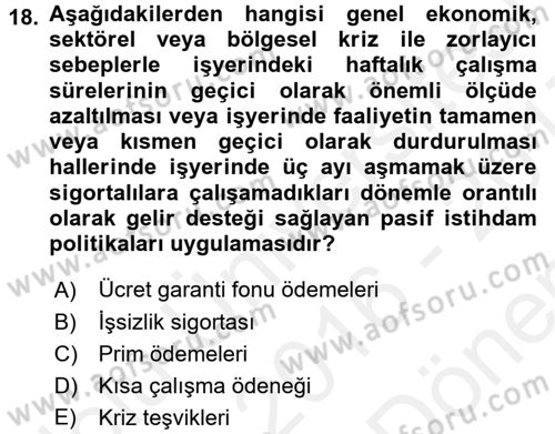 İstihdam ve İşsizlik Dersi 2016 - 2017 Yılı (Final) Dönem Sonu Sınav Soruları 18. Soru