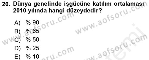 İstihdam ve İşsizlik Dersi 2016 - 2017 Yılı (Final) Dönem Sonu Sınav Soruları 20. Soru
