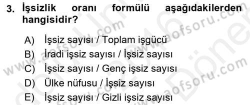 İstihdam ve İşsizlik Dersi 2016 - 2017 Yılı (Final) Dönem Sonu Sınav Soruları 3. Soru