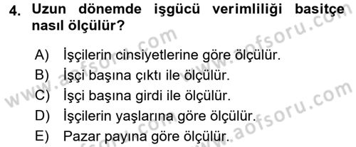 İstihdam ve İşsizlik Dersi 2016 - 2017 Yılı (Final) Dönem Sonu Sınav Soruları 4. Soru