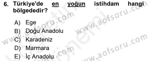 İstihdam ve İşsizlik Dersi 2016 - 2017 Yılı (Final) Dönem Sonu Sınav Soruları 6. Soru