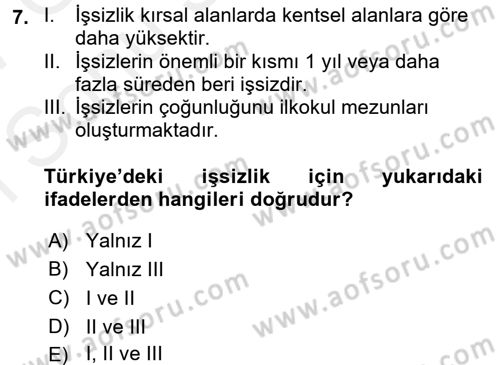 İstihdam ve İşsizlik Dersi 2016 - 2017 Yılı (Final) Dönem Sonu Sınav Soruları 7. Soru