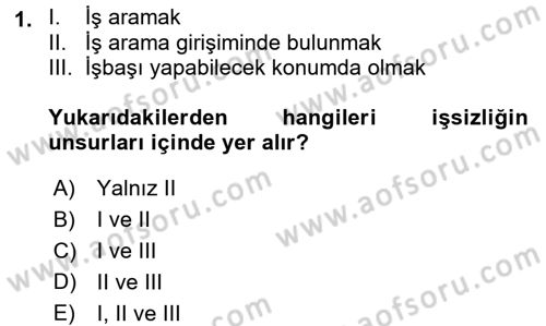 İstihdam ve İşsizlik Dersi 2017 - 2018 Yılı 3 Ders Sınav Soruları 1. Soru