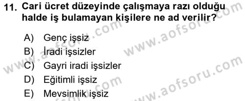 İstihdam ve İşsizlik Dersi 2017 - 2018 Yılı 3 Ders Sınavı 11. Soru