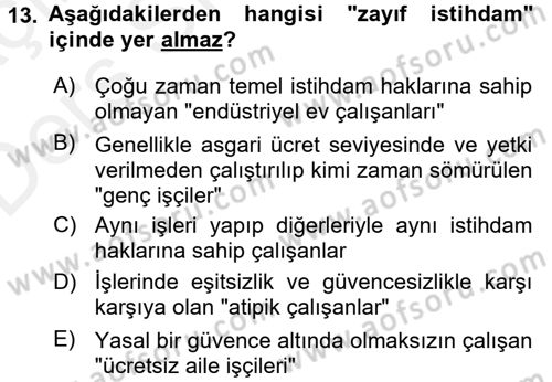 İstihdam ve İşsizlik Dersi 2017 - 2018 Yılı 3 Ders Sınav Soruları 13. Soru