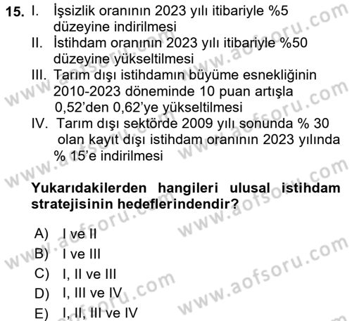 İstihdam ve İşsizlik Dersi 2017 - 2018 Yılı 3 Ders Sınavı 15. Soru