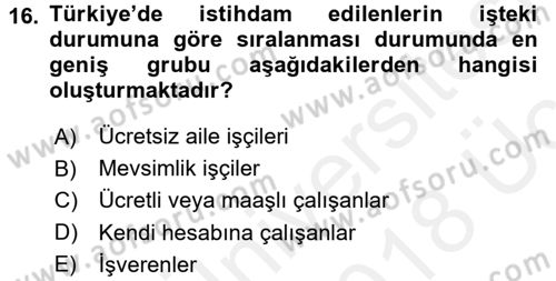 İstihdam ve İşsizlik Dersi 2017 - 2018 Yılı 3 Ders Sınav Soruları 16. Soru