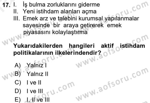 İstihdam ve İşsizlik Dersi 2017 - 2018 Yılı 3 Ders Sınav Soruları 17. Soru