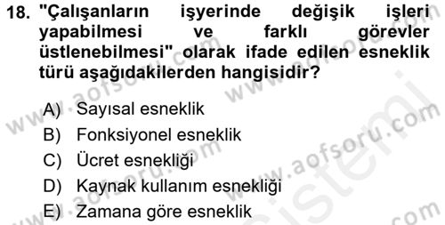 İstihdam ve İşsizlik Dersi 2017 - 2018 Yılı 3 Ders Sınav Soruları 18. Soru