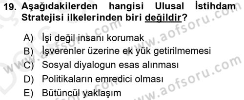 İstihdam ve İşsizlik Dersi 2017 - 2018 Yılı 3 Ders Sınav Soruları 19. Soru