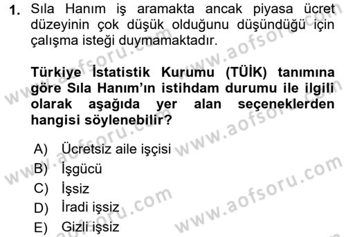 İstihdam ve İşsizlik Dersi 2017 - 2018 Yılı (Vize) Ara Sınav Soruları 1. Soru