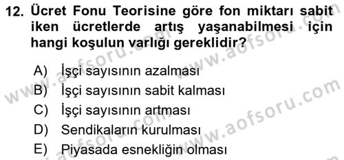 İstihdam ve İşsizlik Dersi 2017 - 2018 Yılı (Vize) Ara Sınav Soruları 12. Soru