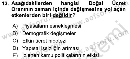 İstihdam ve İşsizlik Dersi 2017 - 2018 Yılı (Vize) Ara Sınav Soruları 13. Soru