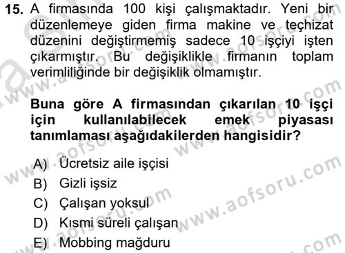 İstihdam ve İşsizlik Dersi 2017 - 2018 Yılı (Vize) Ara Sınav Soruları 15. Soru
