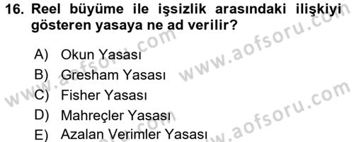 İstihdam ve İşsizlik Dersi 2017 - 2018 Yılı (Vize) Ara Sınav Soruları 16. Soru