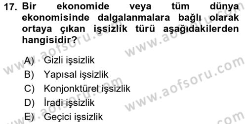 İstihdam ve İşsizlik Dersi 2017 - 2018 Yılı (Vize) Ara Sınav Soruları 17. Soru