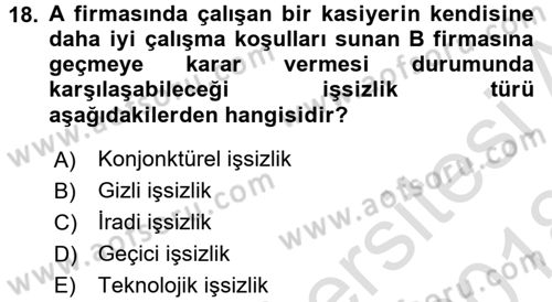 İstihdam ve İşsizlik Dersi 2017 - 2018 Yılı (Vize) Ara Sınav Soruları 18. Soru